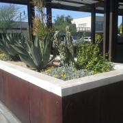 Mesa Precast - Wall Coping at Heritage Park V1